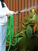 🌿 Magic Hose Pipe – 100 ft Expandable - Image 4
